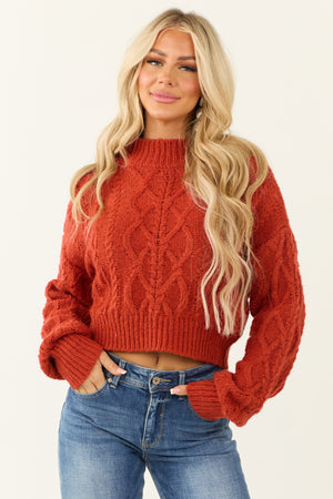 Brick Mock Neck Cable Knit Sweater