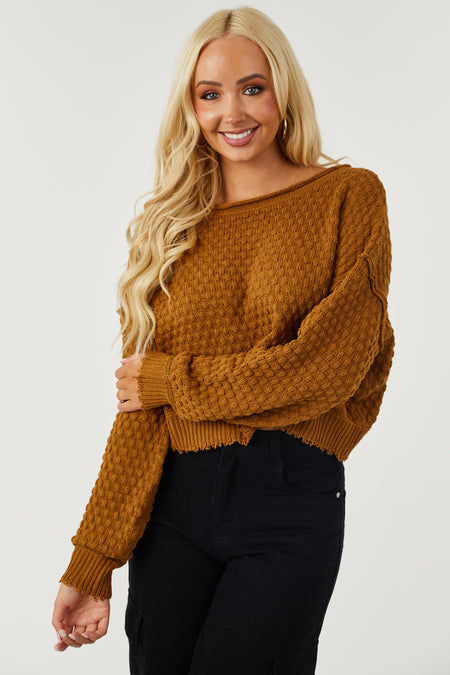 Brown Sugar Long Sleeve Cropped Textured Sweater