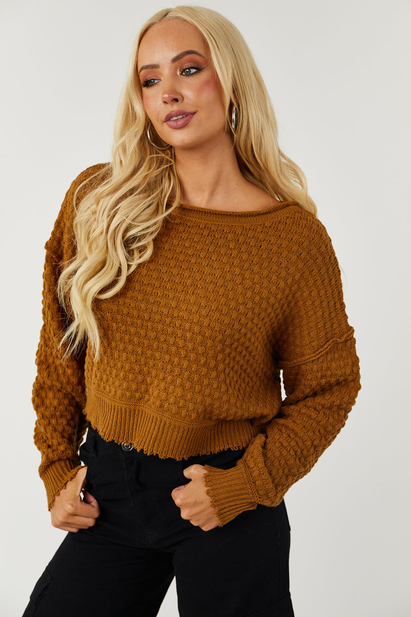 Brown Sugar Long Sleeve Cropped Textured Sweater