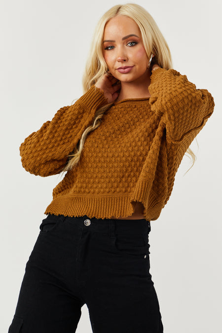 Brown Sugar Long Sleeve Cropped Textured Sweater