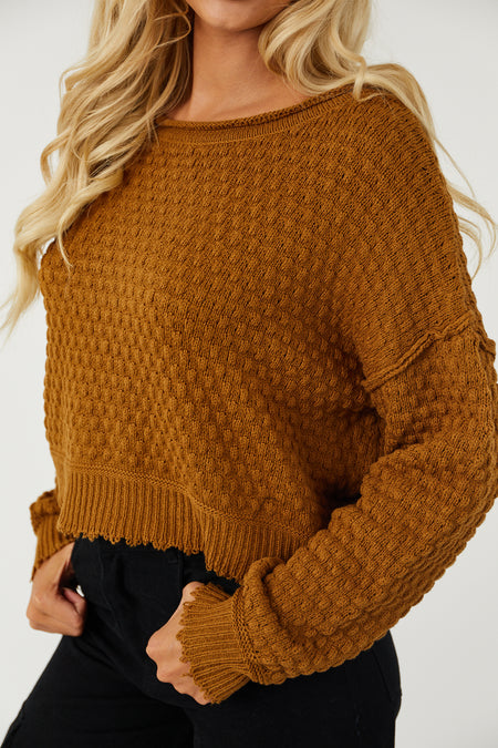 Brown Sugar Long Sleeve Cropped Textured Sweater