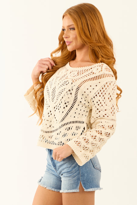 Cream Sheer Crochet Lace Long Sleeve Top