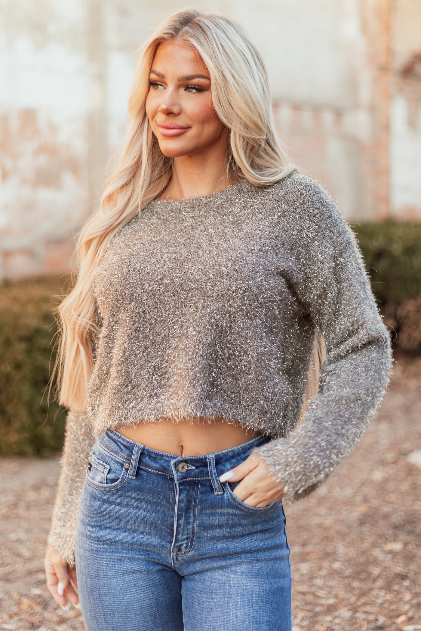 Metallic Stone Lurex Fuzzy Knit Cropped Sweater