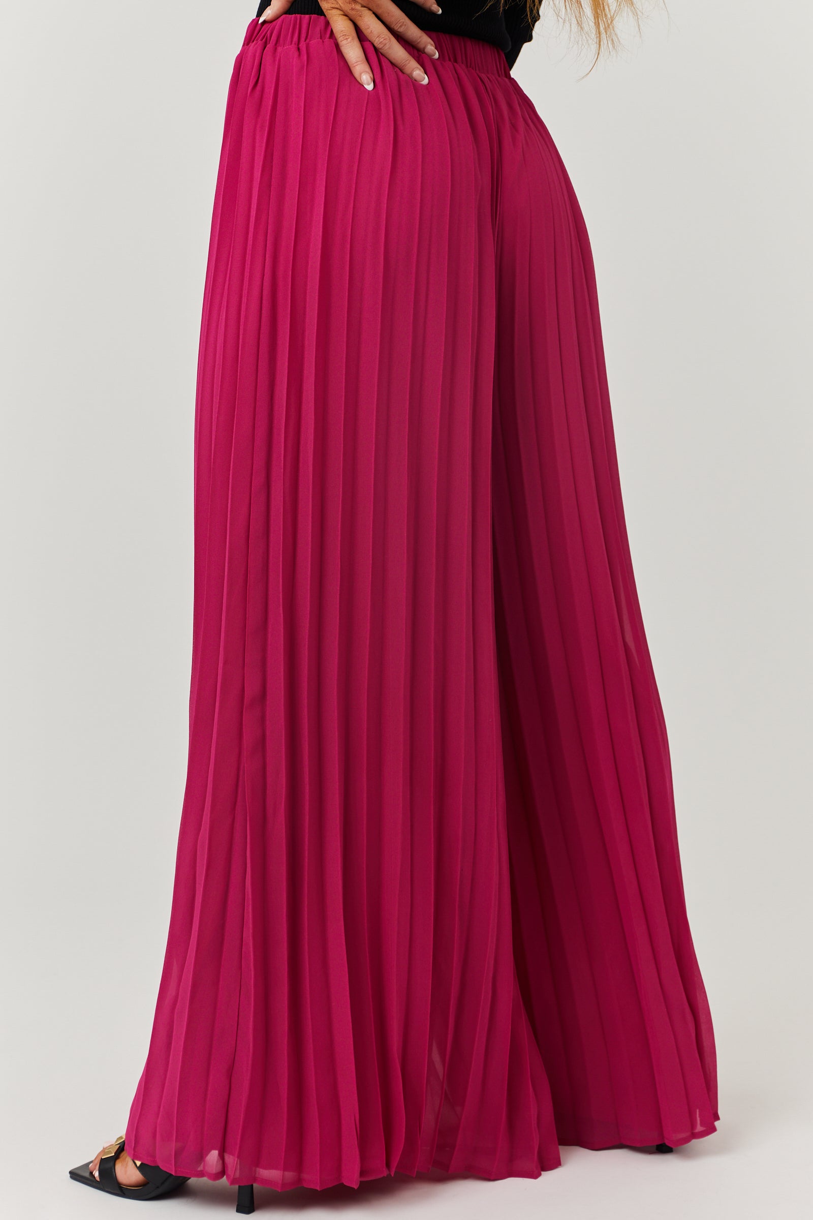 Mulberry Pleated Chiffon High Rise Wide Leg Pants