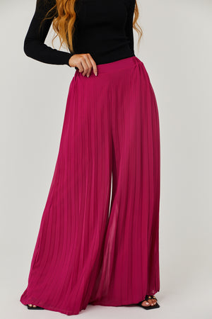 Mulberry Pleated Chiffon High Rise Wide Leg Pants