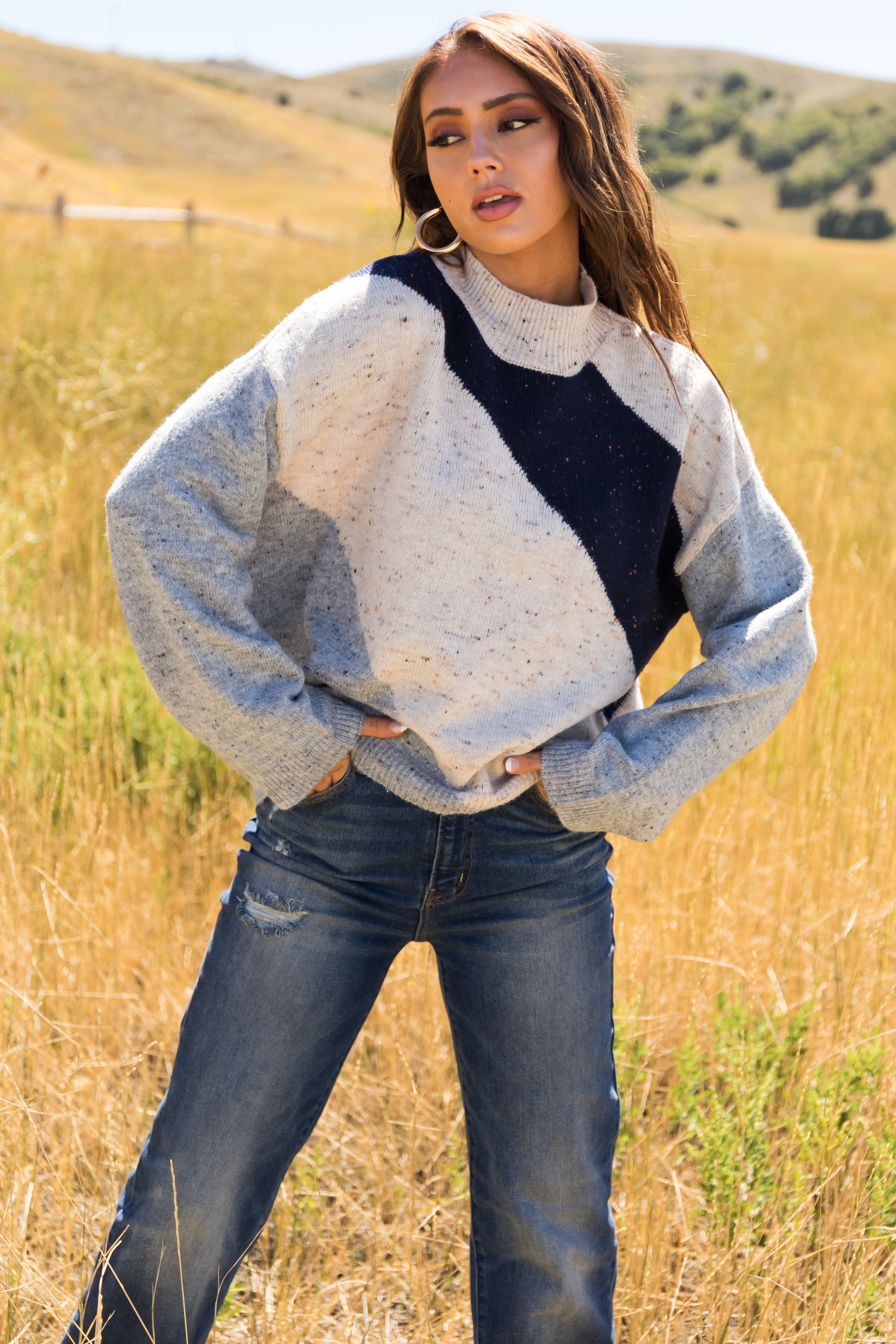 Navy Speckled Colorblock High Neck Knit Sweater