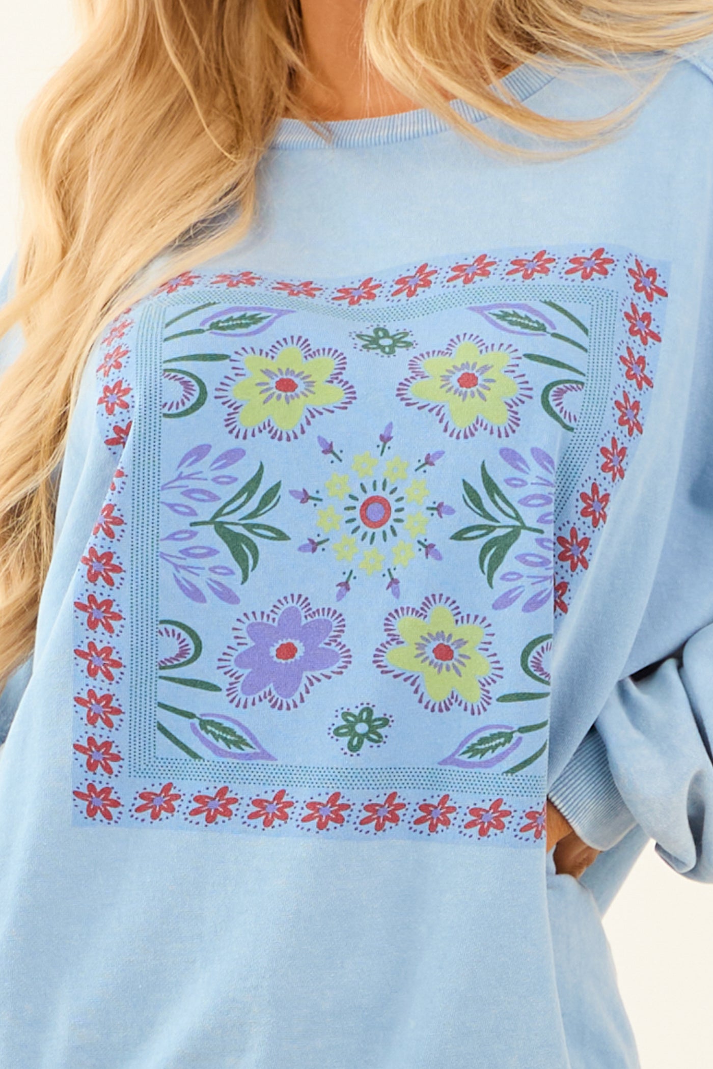 Powder Blue Floral Graphic Long Sleeve Knit Top