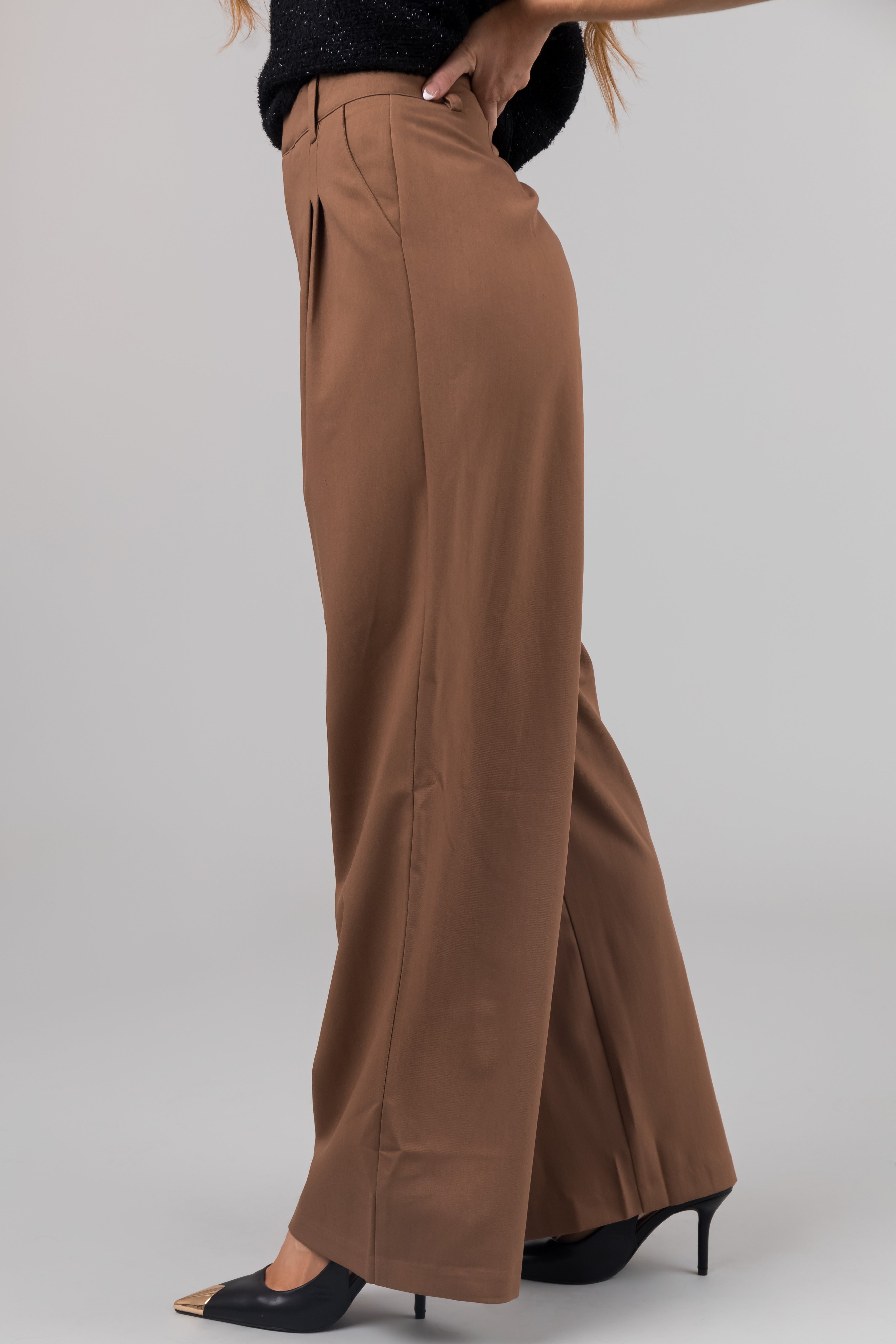 Sepia Pleated High Waisted Wide Leg Pants