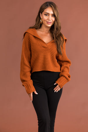 Tawny Collared V Neck Cropped Knit Sweater