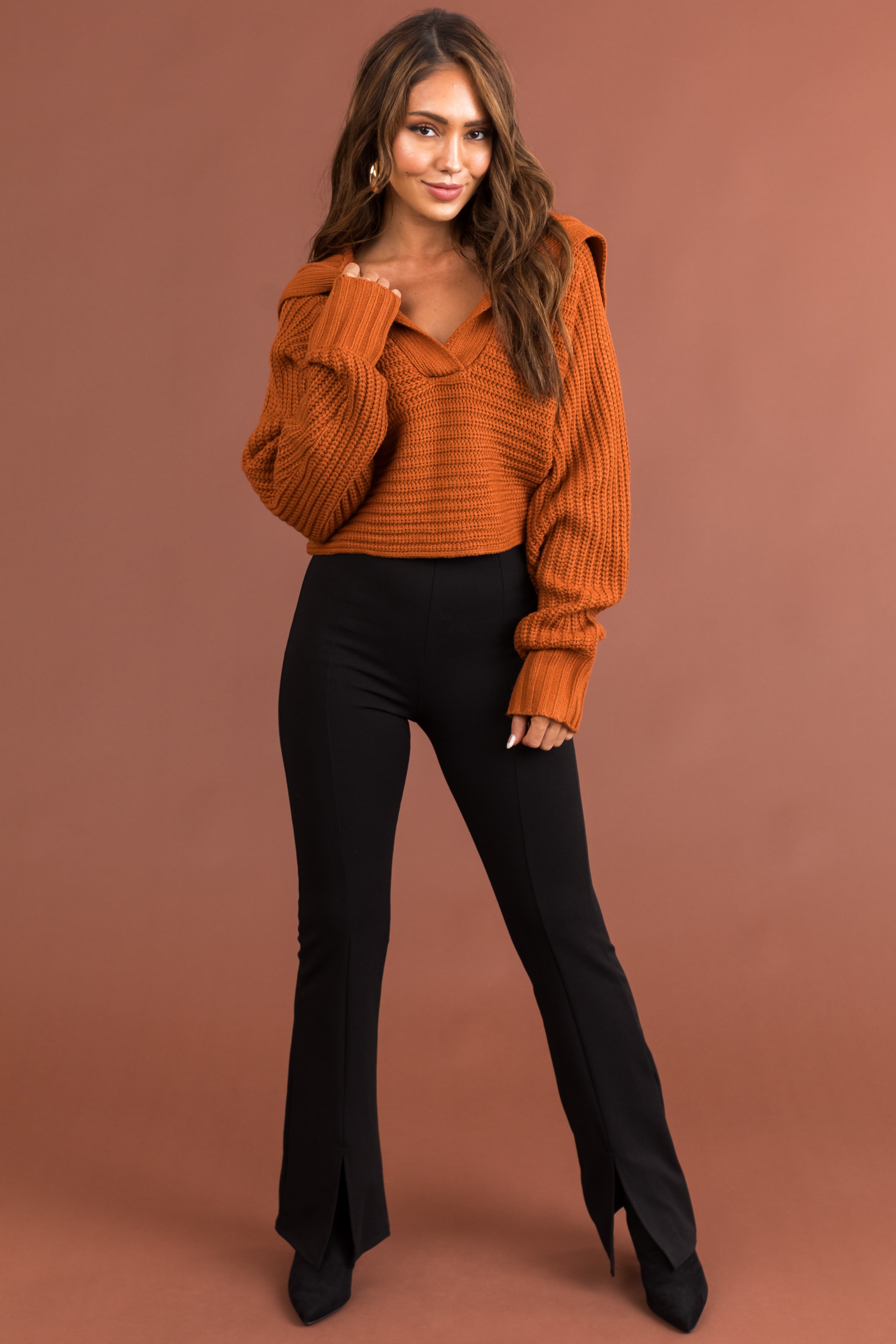 Tawny Collared V Neck Cropped Knit Sweater