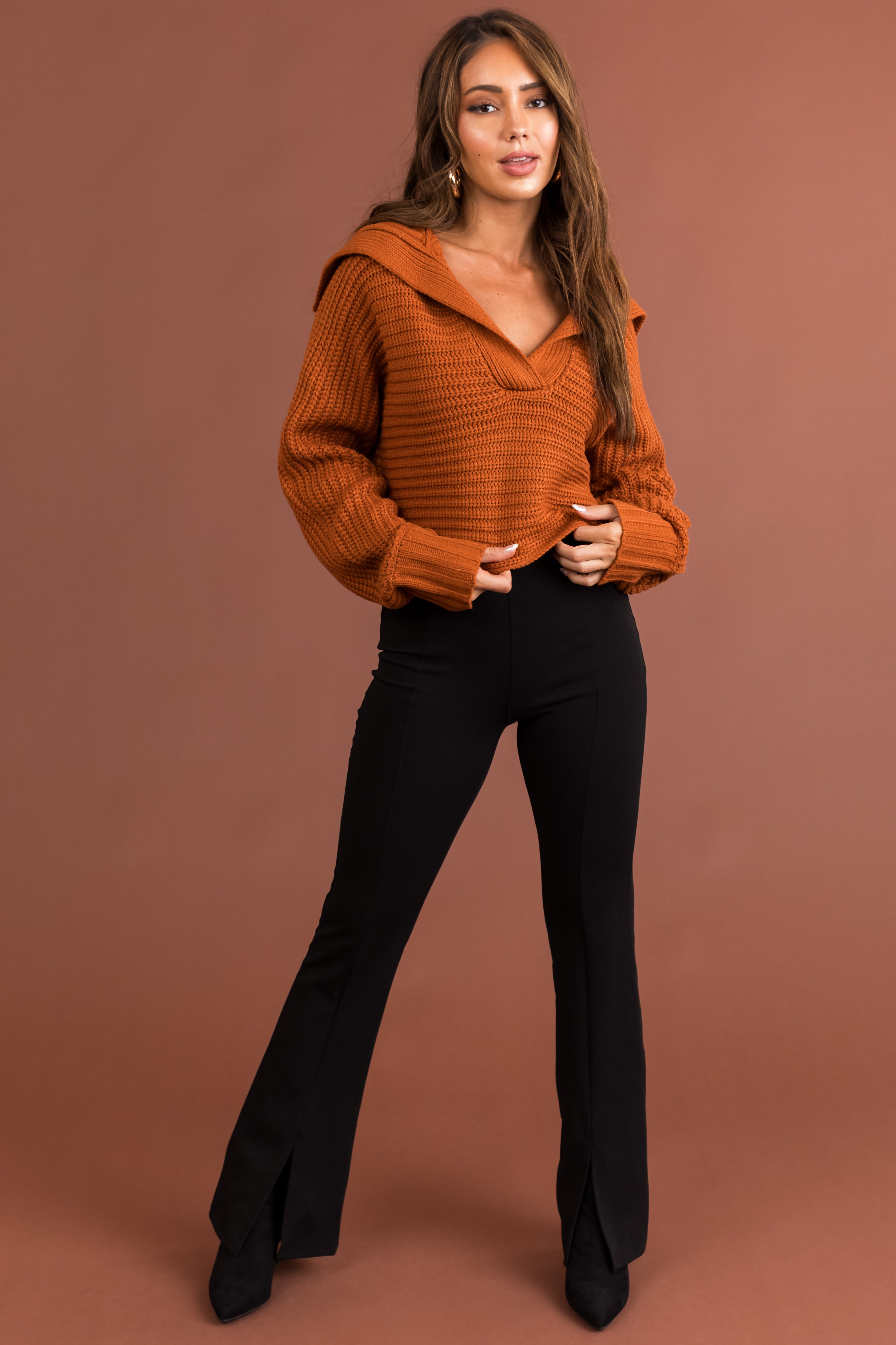 Tawny Collared V Neck Cropped Knit Sweater