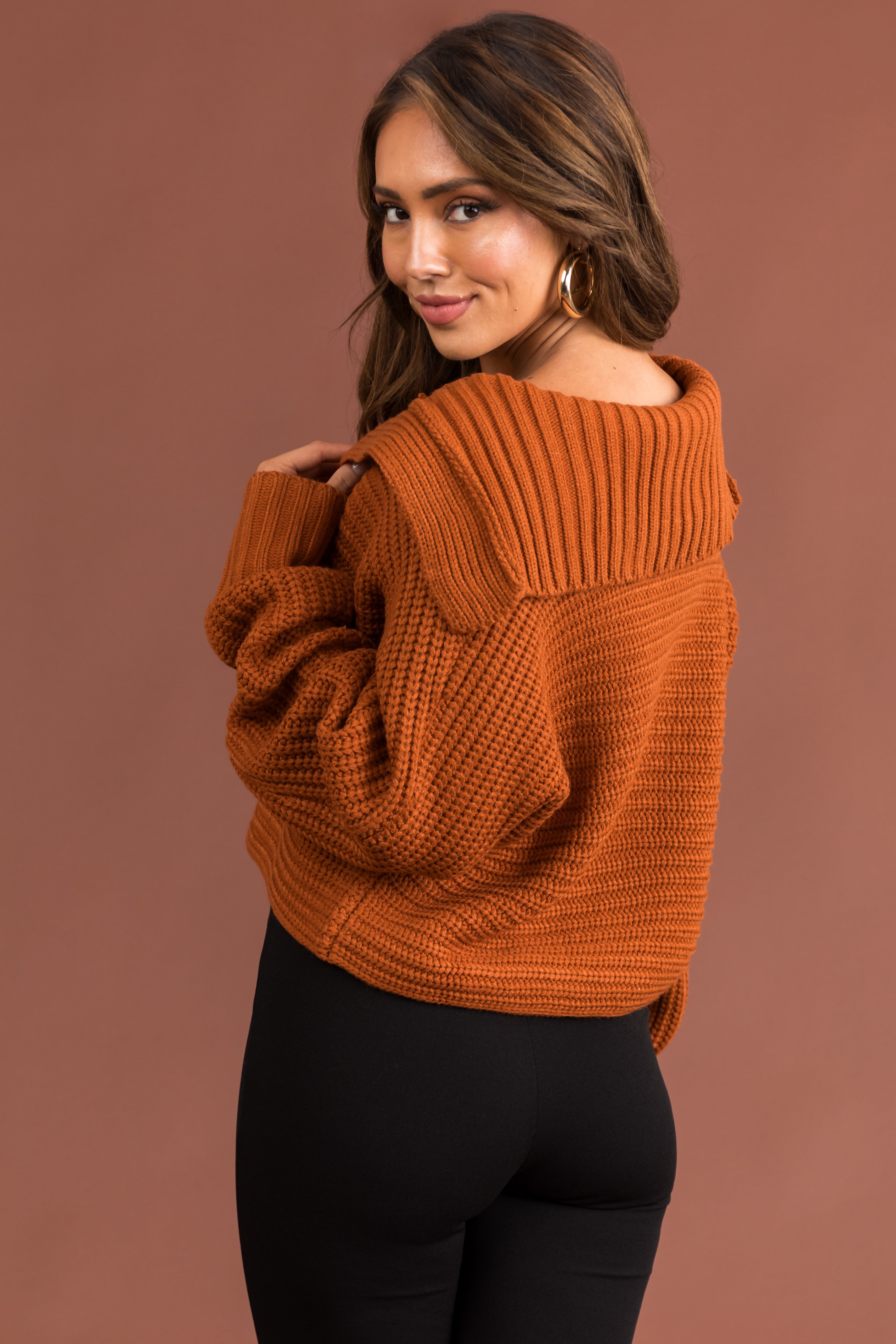 Tawny Collared V Neck Cropped Knit Sweater